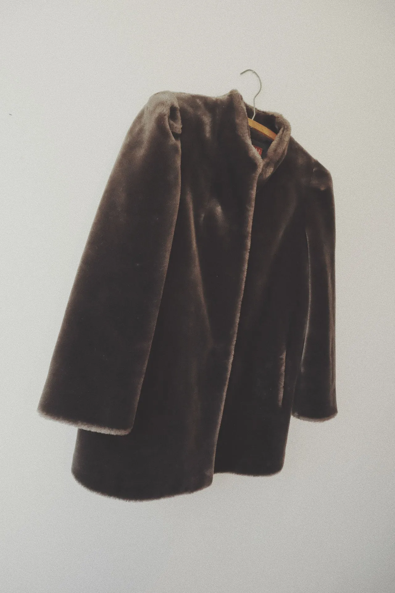 Faux Fur Teddy