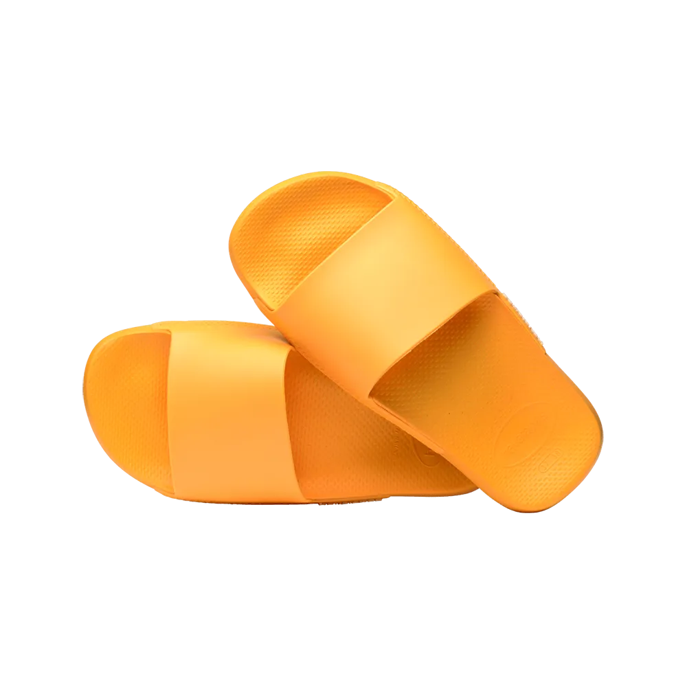 Slides Classic