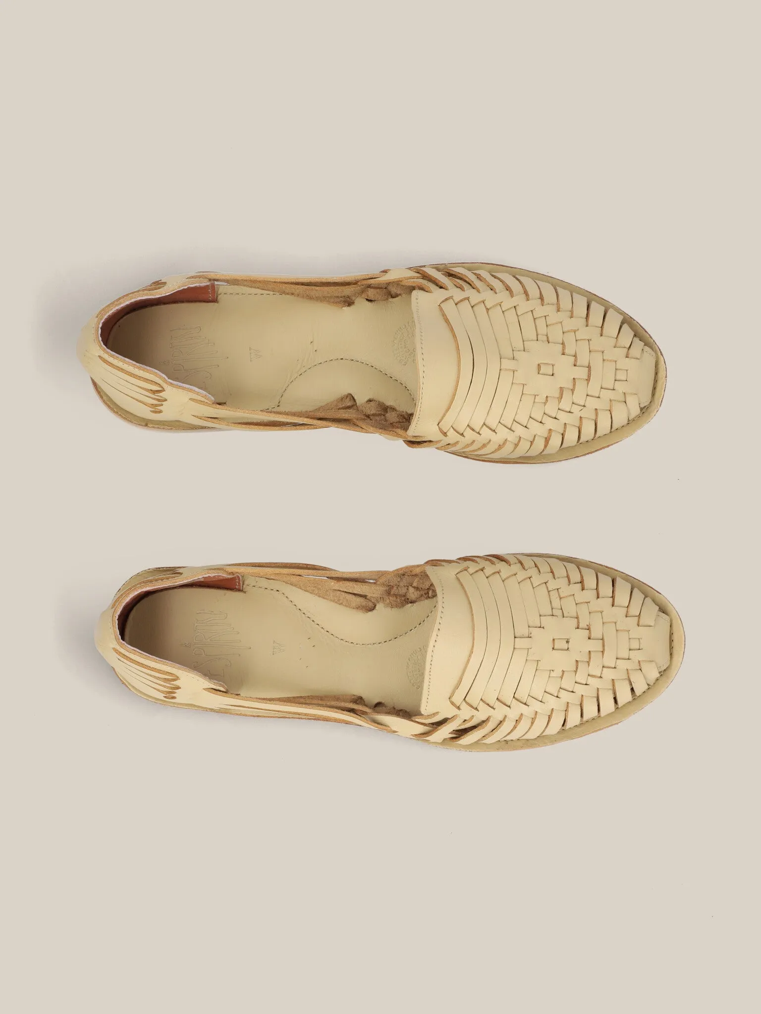 Tulip Classics - Women - US