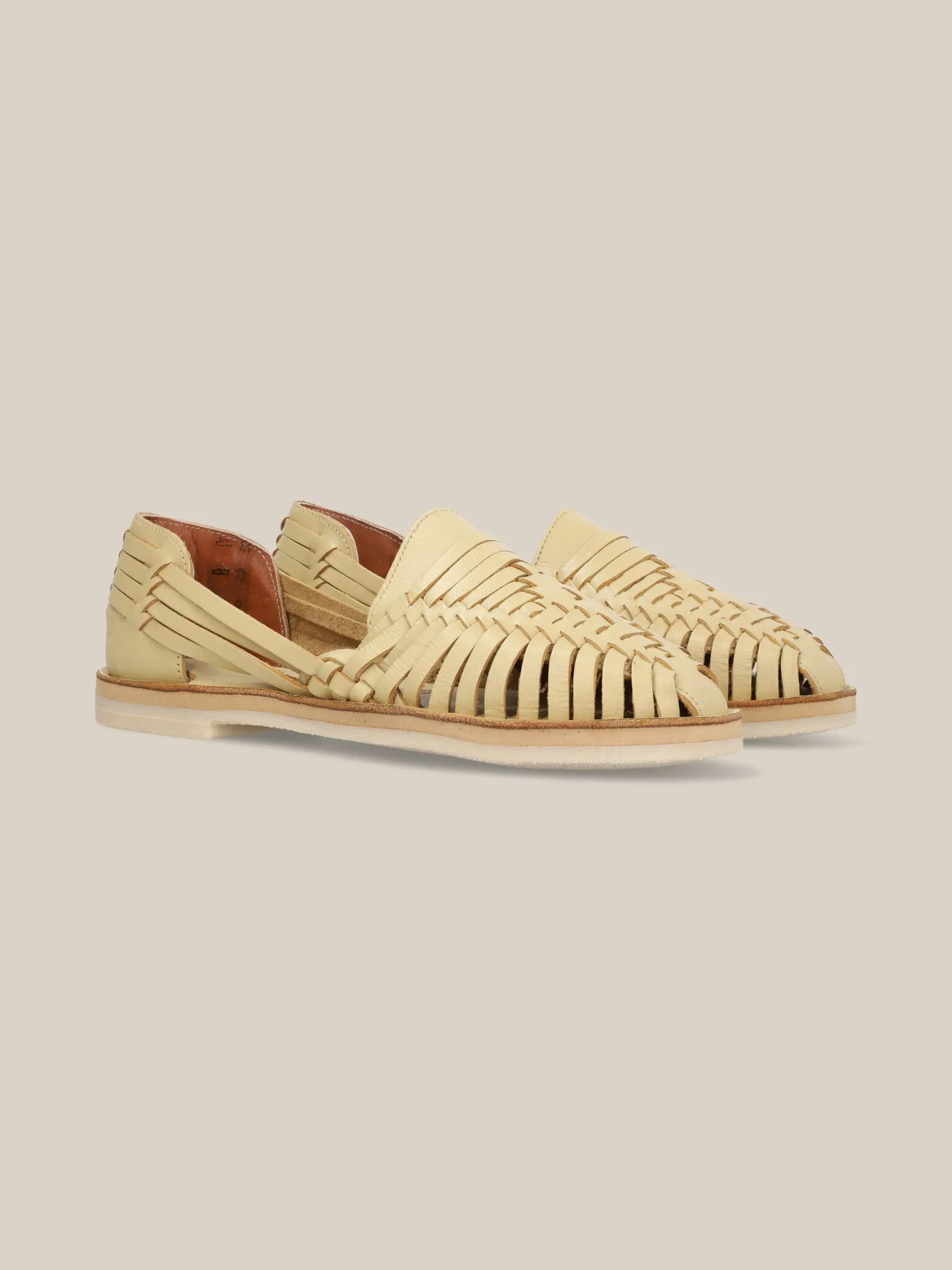 Tulip Classics - Women - US