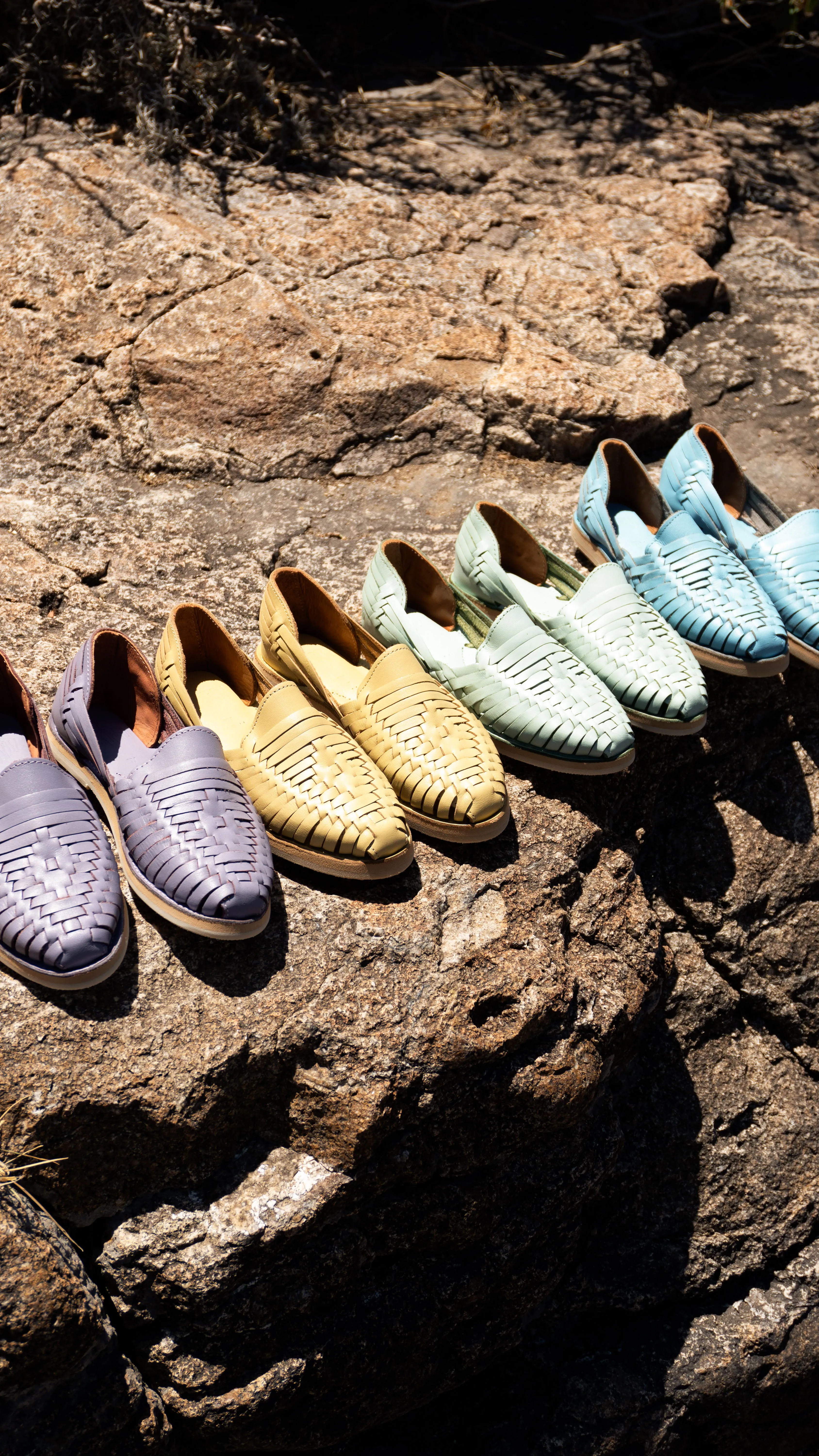 Tulip Classics - Women - US